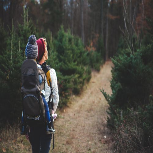 Biking and Hiking