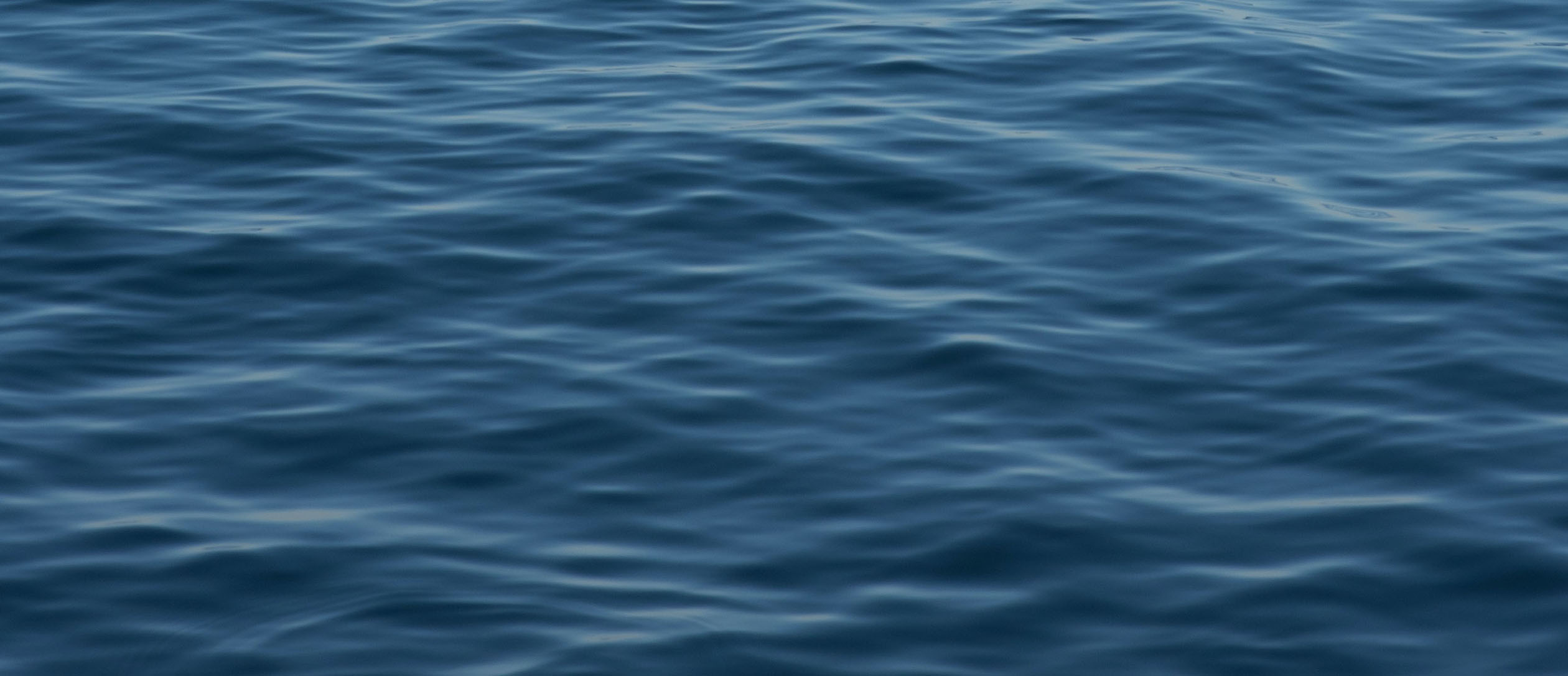 Dark blue water ripples.