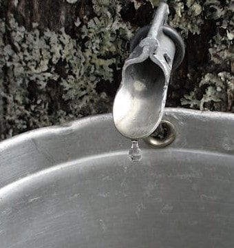 Water dripping into bucket