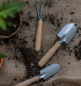 Top view of gardening tools