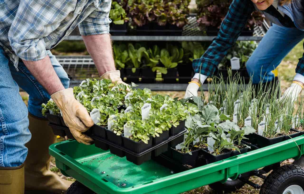 Farmers carrying containers with assorted plants