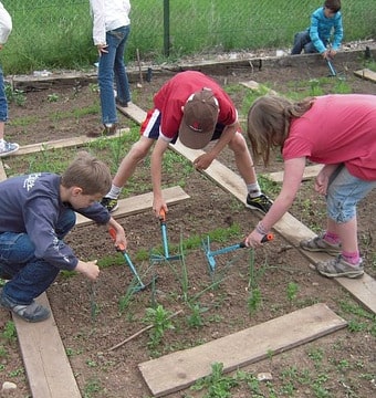 Children gardening in a school garden