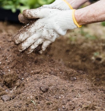Person gardening in the soil