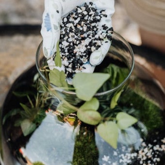 Person putting stones in a clear glass vase