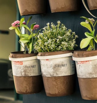 Vertical herb garden