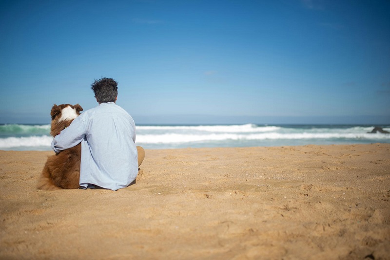 Man with Dog on Beach