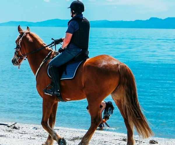 Horseback Riding on Beach
