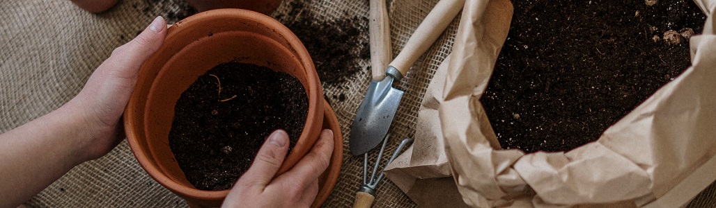 Employee Potting Plants with Organic Soil