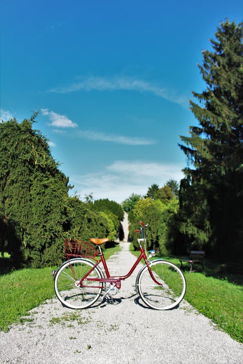 Red Bike in front of Garden