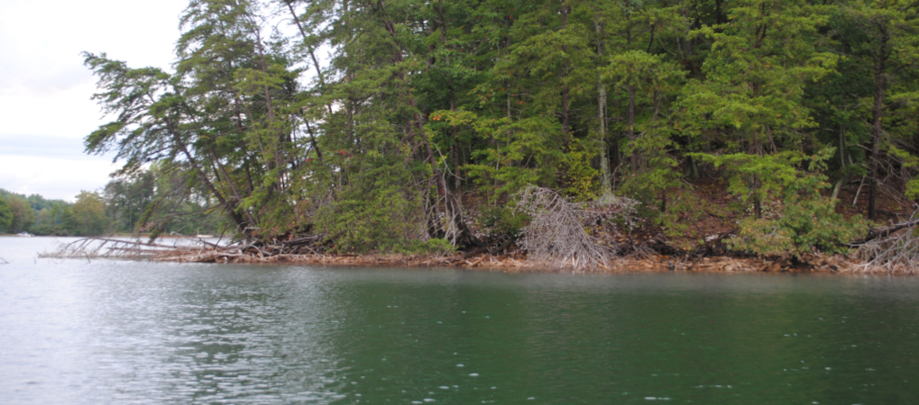 Belews Lake