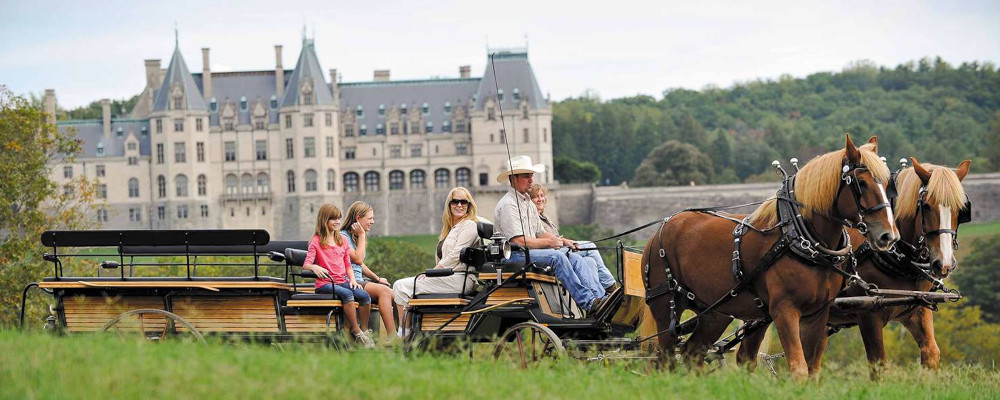 Carriage with people on it