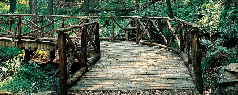 Trail in the woods