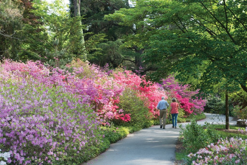 Large Garden