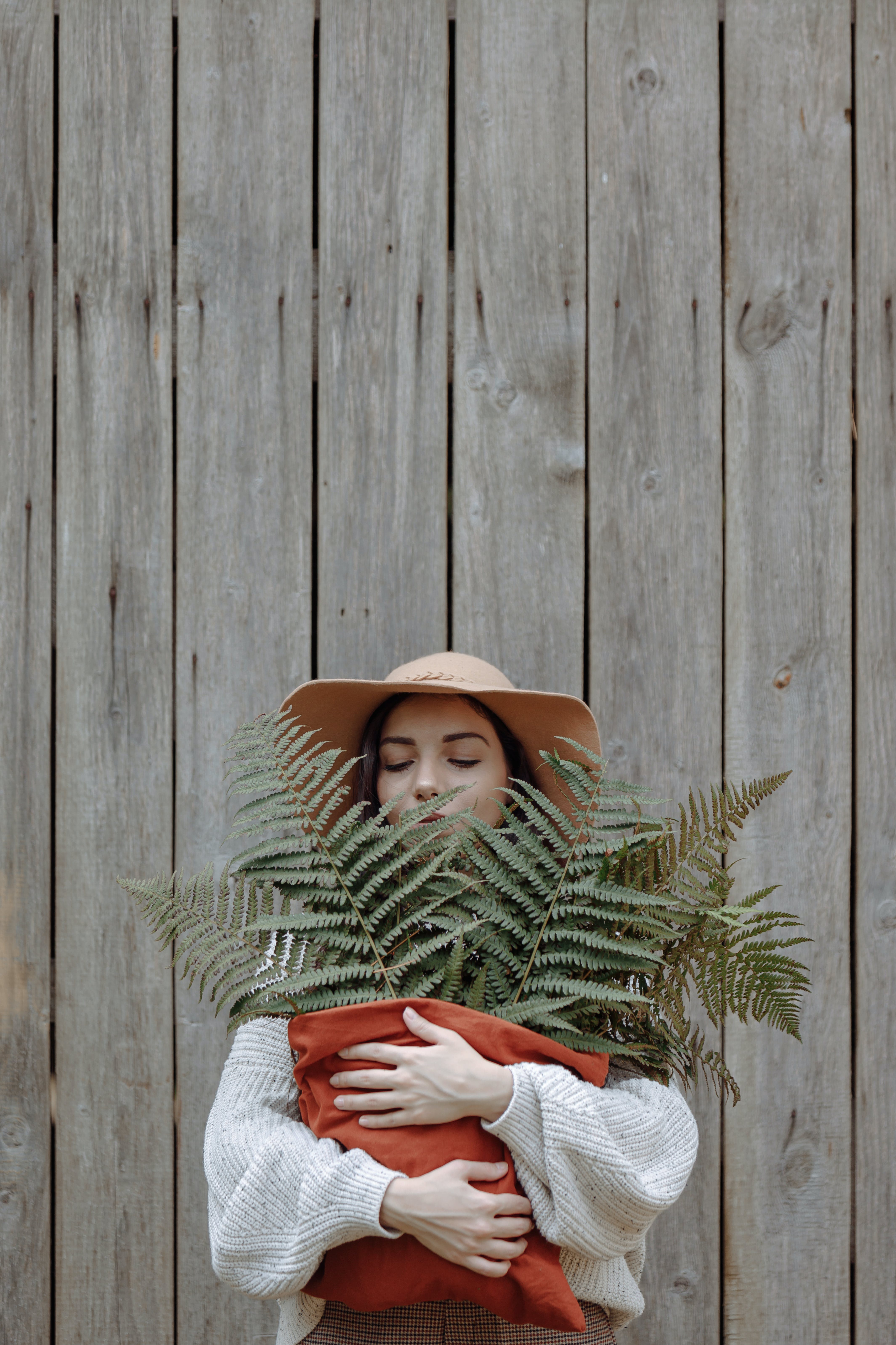 Beauty Ferns