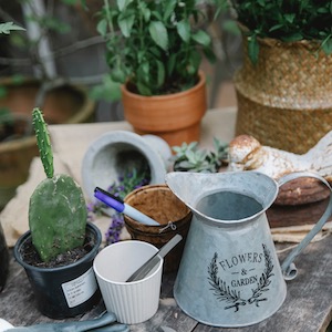 gardening containers and plants on table