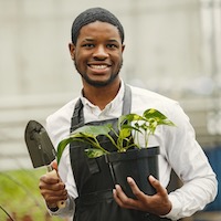 greenhouse with assortment of plants and flowers
