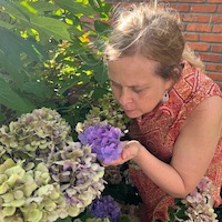 greenhouse with assortment of plants and flowers