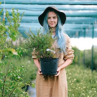 greenhouse with assortment of plants and flowers