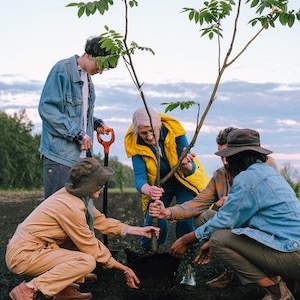 gardener planting tree with community helpers