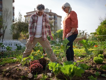 John and Majorie Lane working in an outdoor vegetable garden