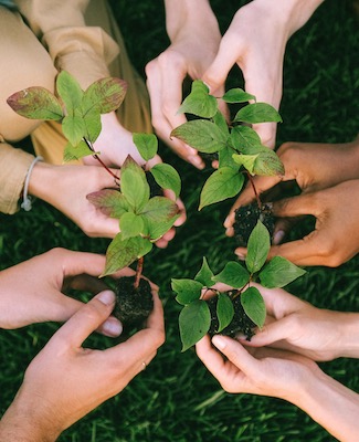 circle of outstretched hands holding small plants