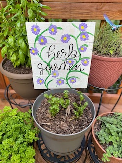 Herb Garden