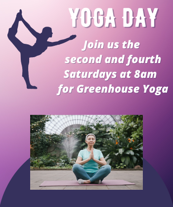 Yoga Day. Join us the second and fourth Saturdays for Greenhouse Yoga.
