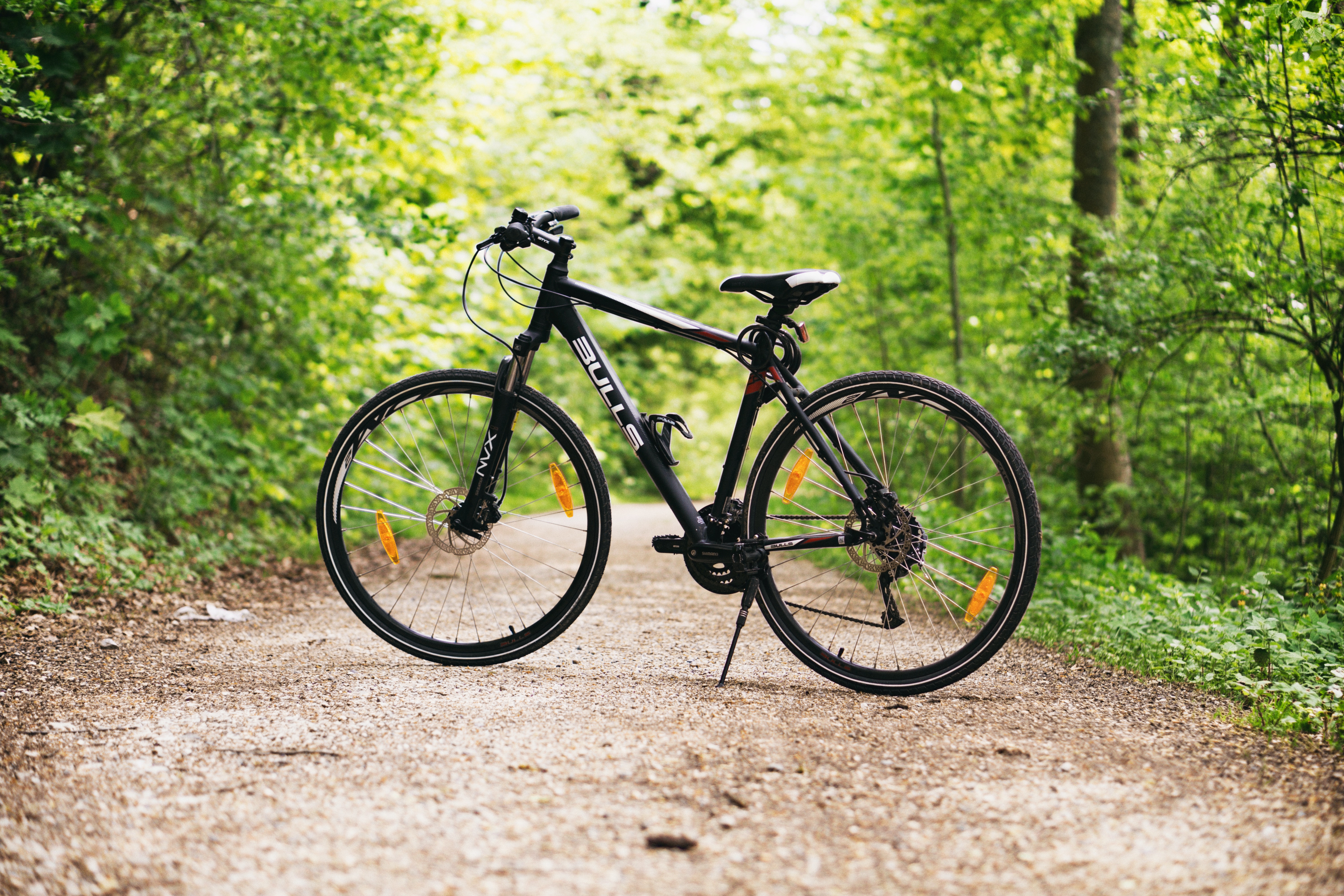 Bike on trail