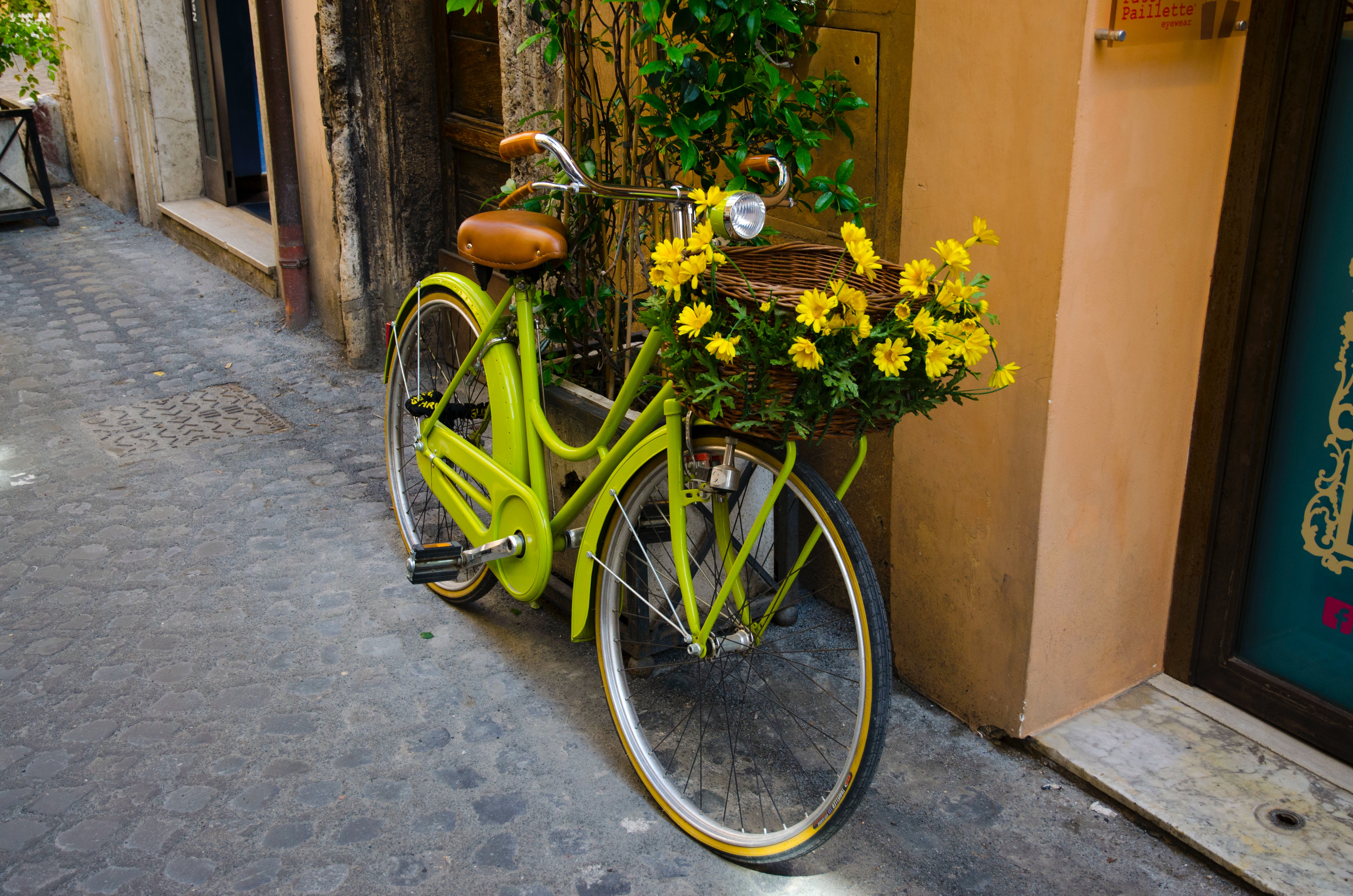custom bikes