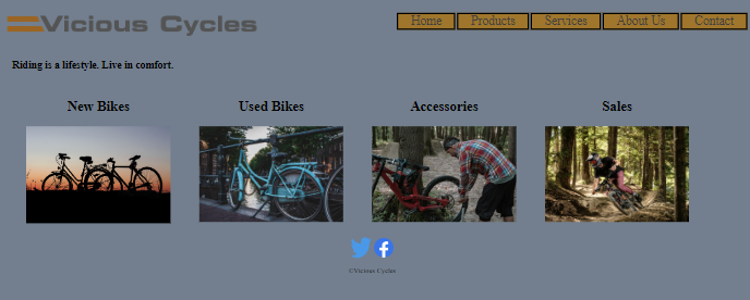 Bicycle website example