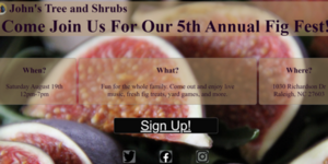 Fig event landing page project