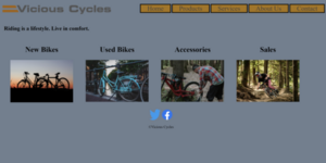 Products page for a cycle shop project