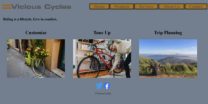 Services page for a cycle shop project