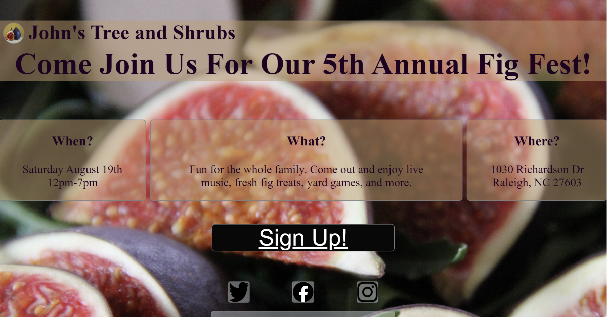 Fig Fest Project