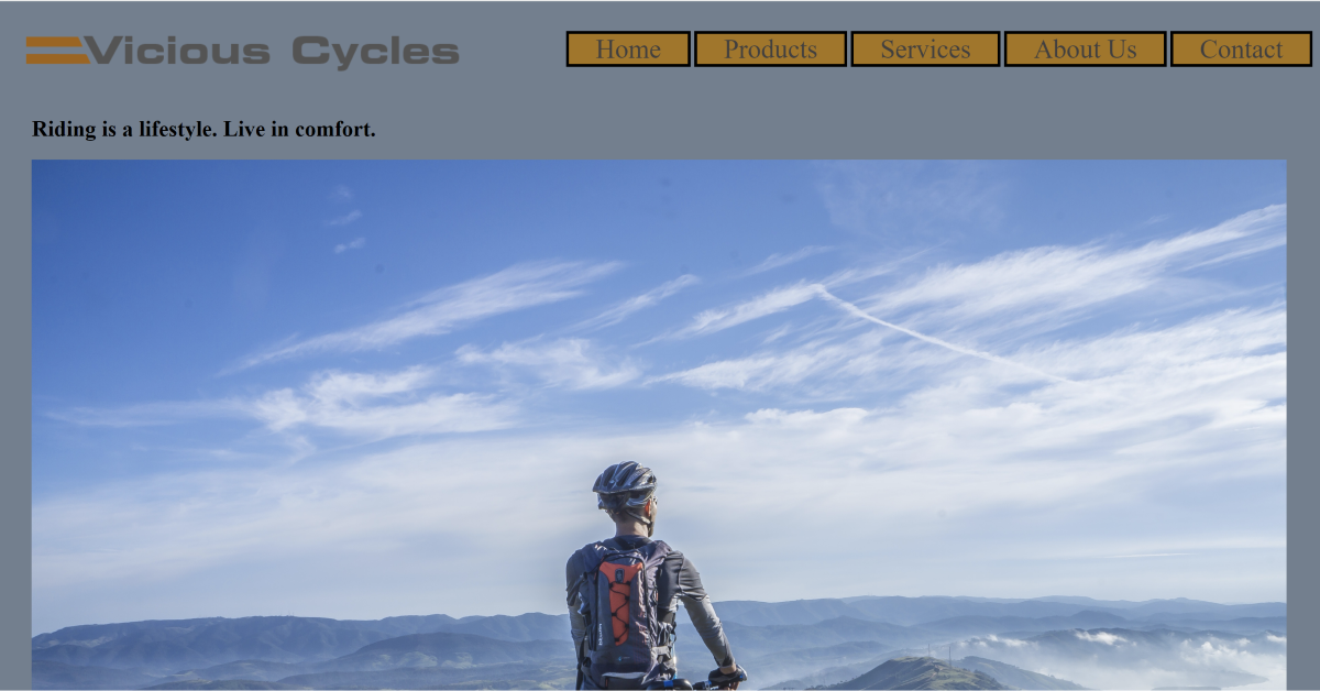 Vicious Cycles Project