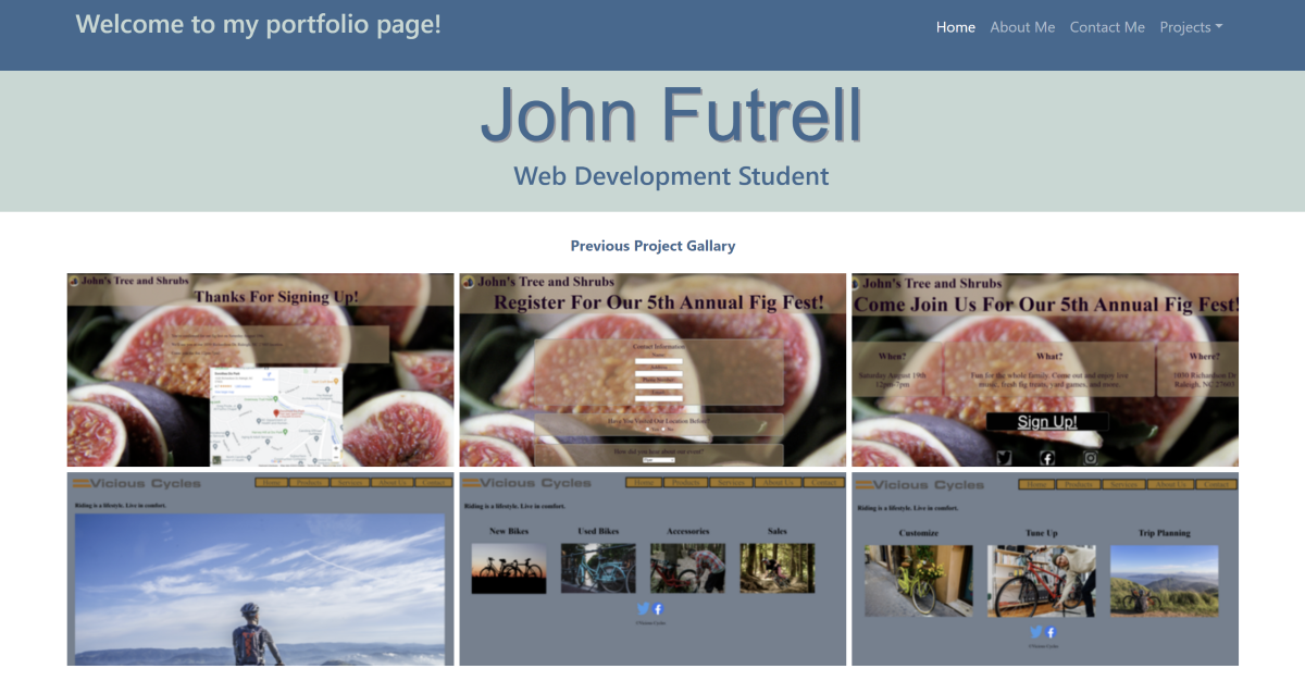 Portfolio Page for Web 210 Course