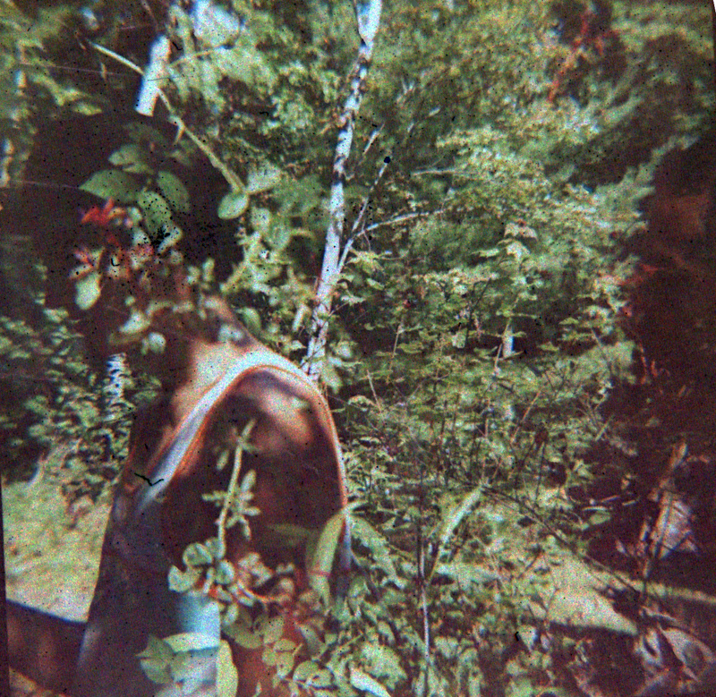 an abstract photographic portiat of a young man with a face that has been obscured with flowers 