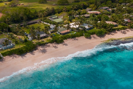 view of a beach with houses in the back with palms