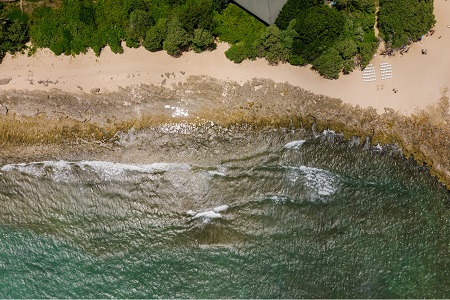 view of a beach from the ocean to the shore line with trees in the back