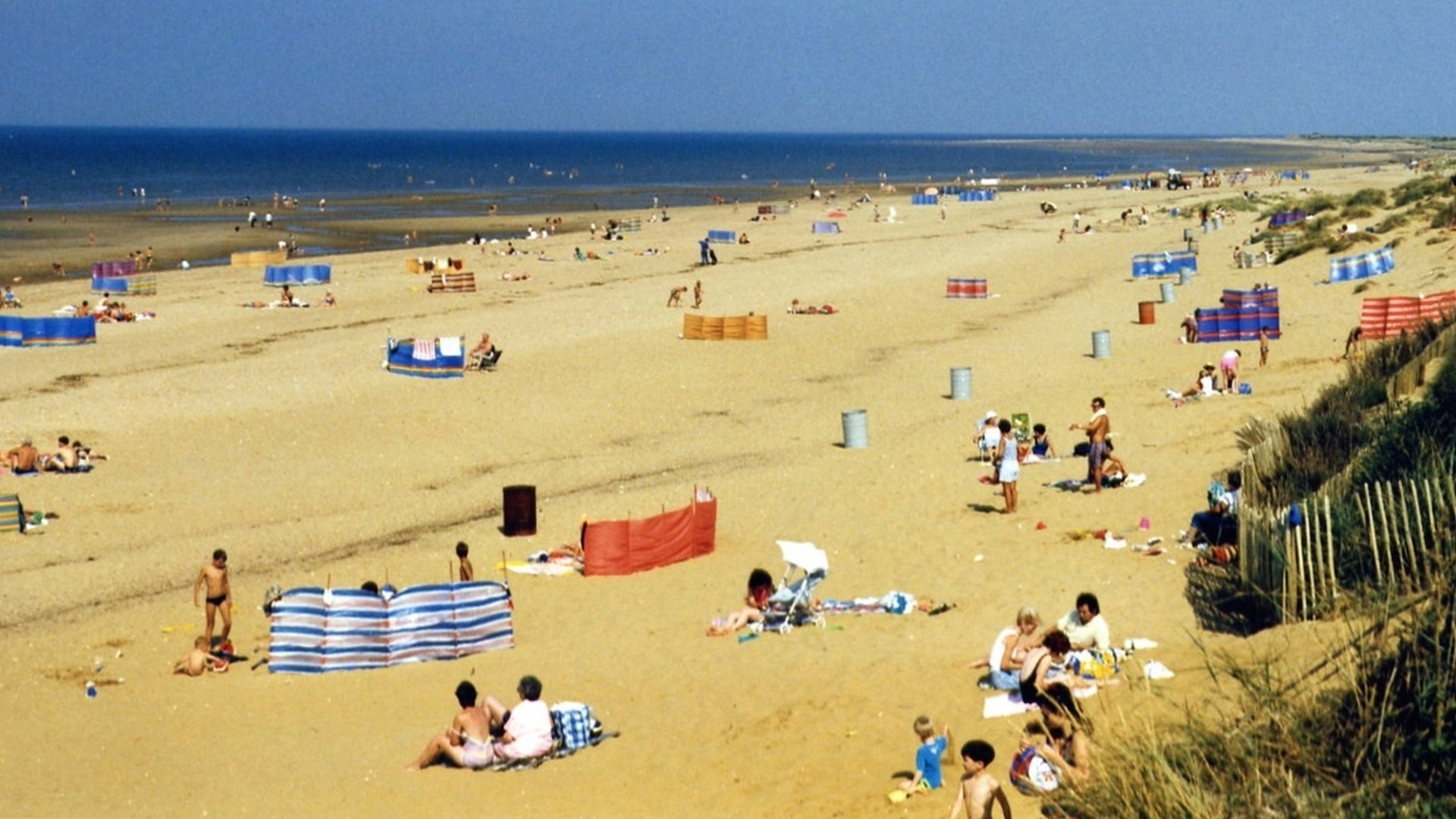 crowd on a beach, on a sunny day