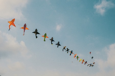 rows of shark shape kites in the sky