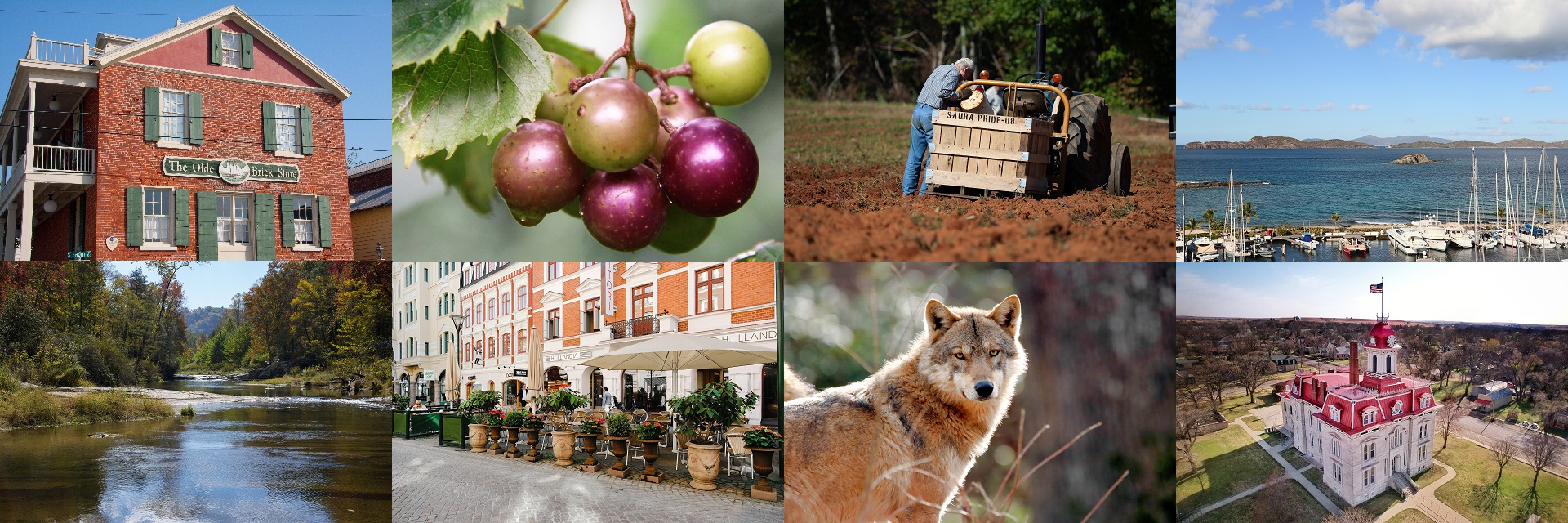 collage of a building,grapes,tractor,sea side with yatchs,river,store front,wolf and a goverment building