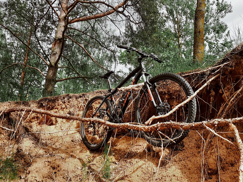 bike trap between tree roots on a mountain