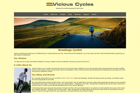 vicious cycles website done in class