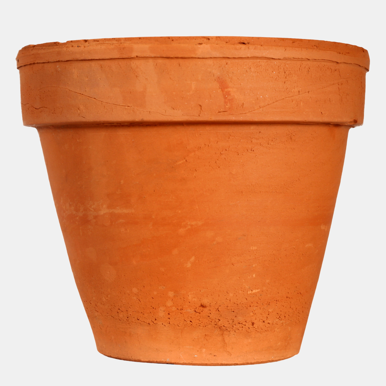 Rodney_orchids_clay_pot