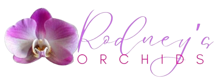 Rodney orchids logo