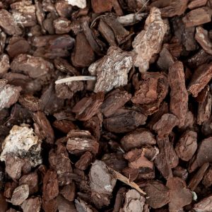 Orchid Potting mix