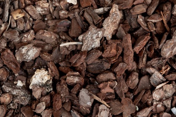 Orchid Potting mix