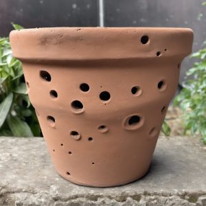 clay-plant-pot-with-holes
