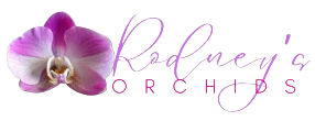 Rodney's Orchids